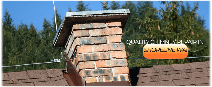 Chimney Repair Shoreline WA